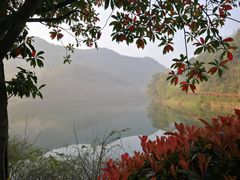 -桃花岭景区