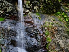 -宁波市保国寺古建筑博物馆