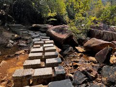 -广州白江湖森林公园