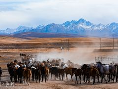-山丹皇家马场