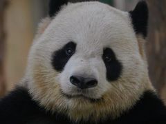 -上海野生动物园