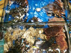 -大东海海鲜酒楼(渔人码头总店)