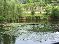 -绍兴鉴湖君澜大酒店