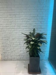 点击看大图 -P.STYLE 派斯造型