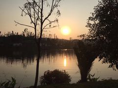 -枫香湖儿童公园