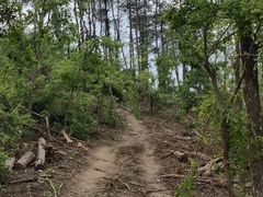 -青龙山国家森林公园