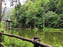-黎坪国家森林公园
