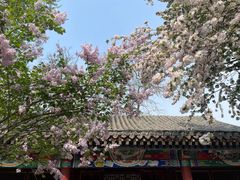 -荣国府