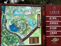 -王借岗森林公园