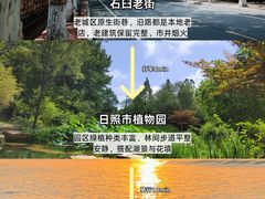 -日照海滨国家森林公园