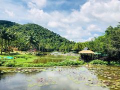 -海南槟榔谷黎苗文化旅游区