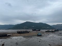 -北岐滩涂