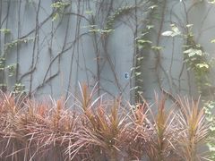 -289艺术PARK