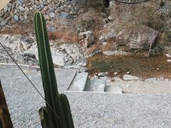 -MOJ coffee(瓯海泽雅水碓坑店)