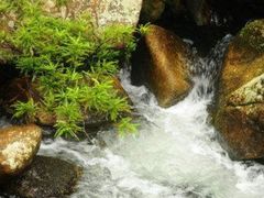 -海南热带雨林国家公园吊罗山景区