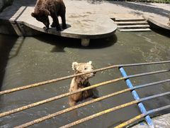 -贵州森林野生动物园