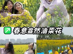 -汉长安城未央宫国家考古遗址公园