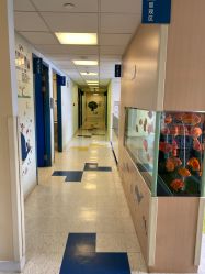 -杭州贝瑞斯美华妇儿医院·早孕·产检·儿科