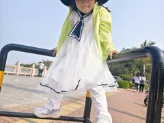 -野狸岛