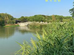 -八大山人梅湖景区