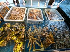 -南海渔村(珠江新城店)