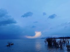 -野菌皇海景野生菌火锅(滨海大道店)