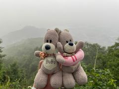 -紫金山山顶公园