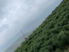 -兰山公园