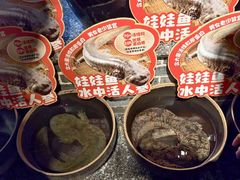 -印象鲵宴·张家界地标美食名片(溪布街店)