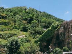 -梧桐山风景名胜区