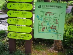 -中国茶叶博物馆(双峰馆区)