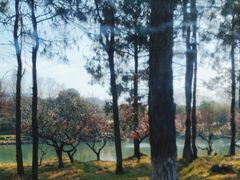 -西溪国家湿地公园