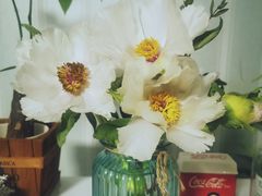 -盒马鲜生(龙德广场店)