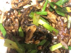 -鸽子窝(黄村店)