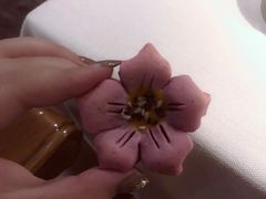 -都氏家DUSJOY(翡翠城店)
