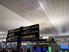 -巴塞罗那约瑟·塔拉德利亚斯-埃尔·普拉特机场