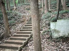 -上海佘山国家森林公园天马山园