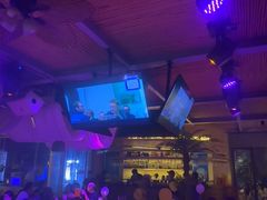 -离岸江景音乐酒馆