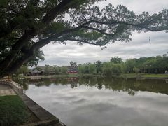 -江心屿景区