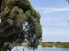 -洪湖生态旅游区