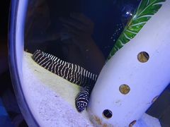 -邯郸海洋世界