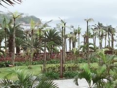 -东澳岛