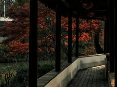 -上海醉白池公园
