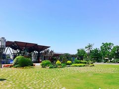 -上海长兴岛郊野公园