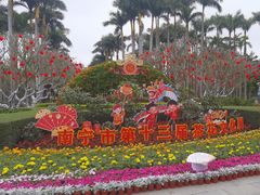 -金花茶公园