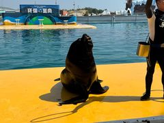 -秦皇岛乐岛海洋王国