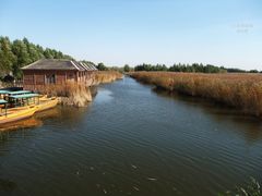 -白渔泡湿地公园