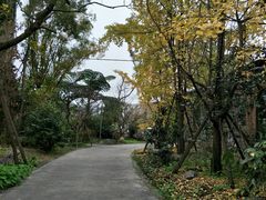-鱼凫人家