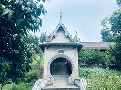 -报恩禅寺