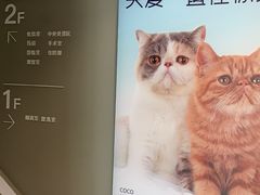 -关爱宠物医院·猫科中心·消化科(滨湖万达分院)